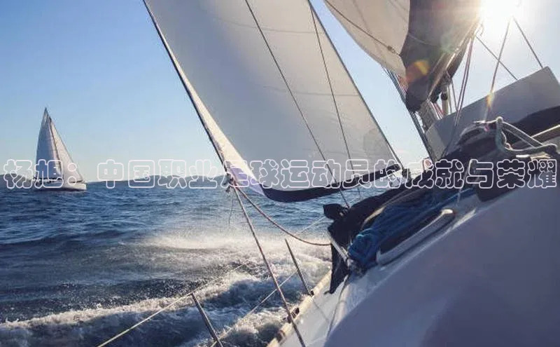 伟德bv1946官方网站中海达杨旭：中国职业足球运动员的成就与荣耀