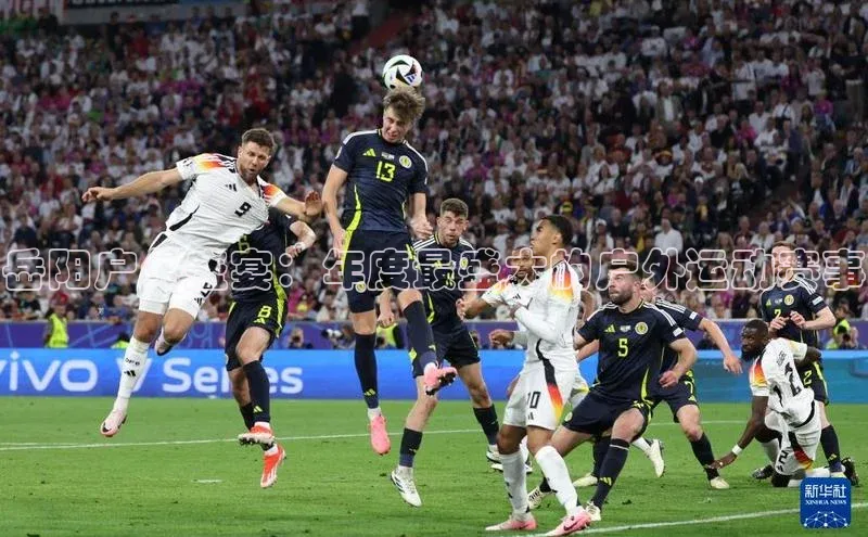 伟德bv1946官网首页百度翻译App岳阳户外盛宴：年度最盛大的户外运动赛事