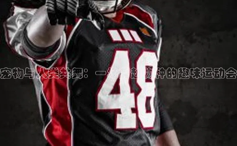 bevictor伟德官网登录视觉中国宠物与人类共舞：一场跨越物种的趣味运动会