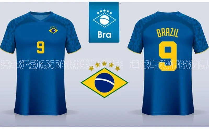 汽车运动赛事的种类与分析：速度与激情的边界