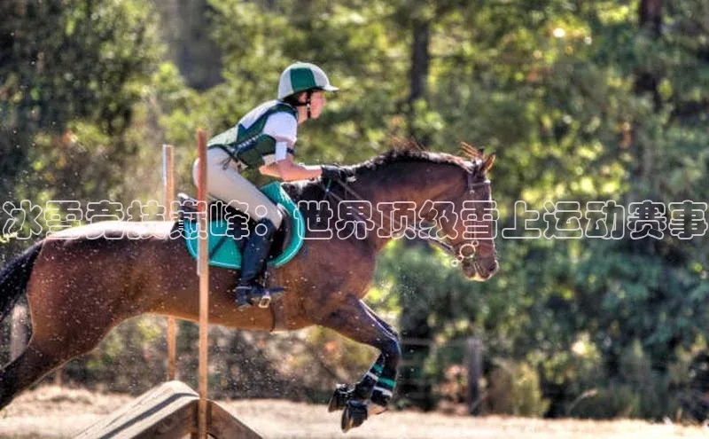 冰雪竞技巅峰：世界顶级雪上运动赛事