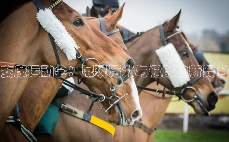 安康运动会：展现活力与健康的新舞台