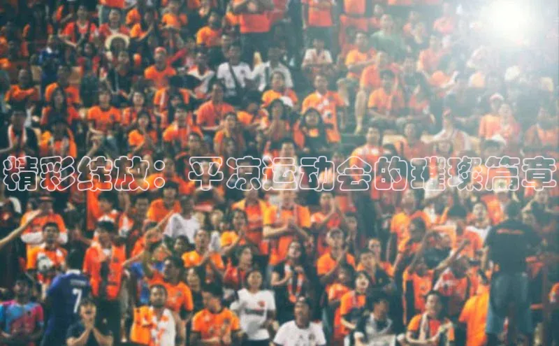 精彩绽放：平凉运动会的璀璨篇章