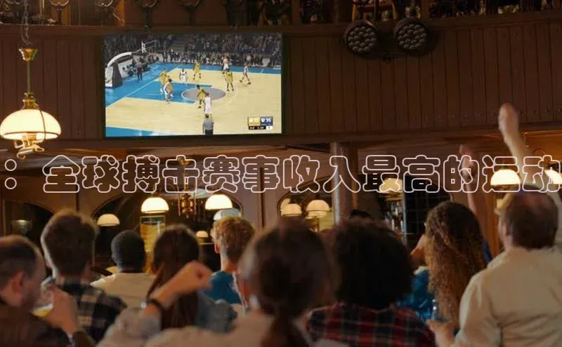 ：全球搏击赛事收入最高的运动