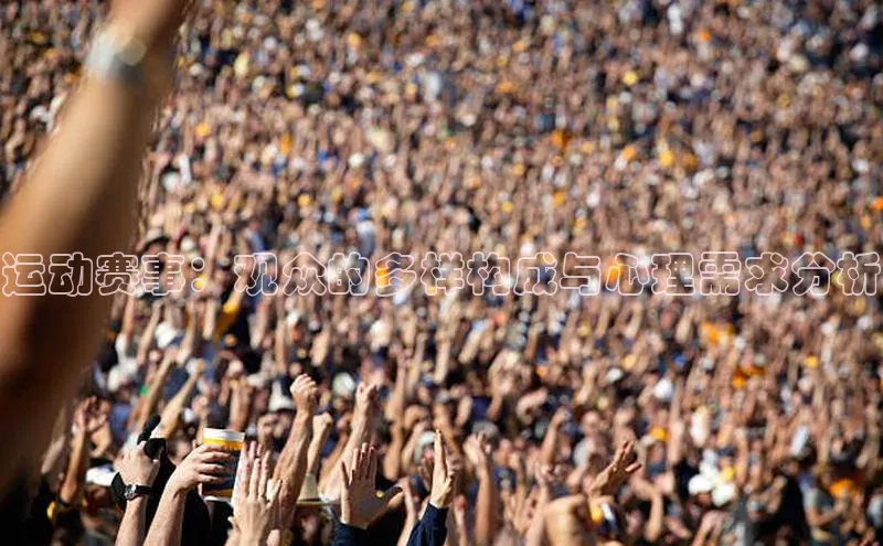 运动赛事：观众的多样构成与心理需求分析