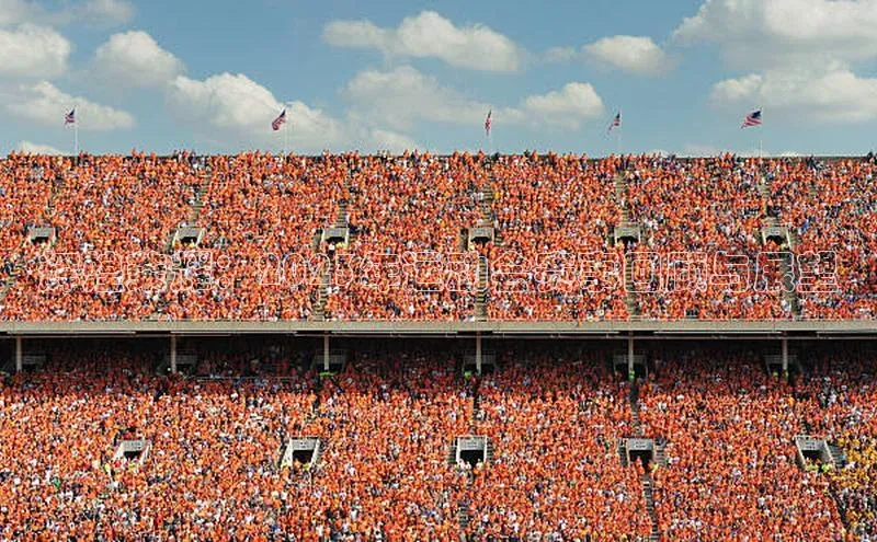 辉煌荣耀：2023年运动会赛事回顾与展望