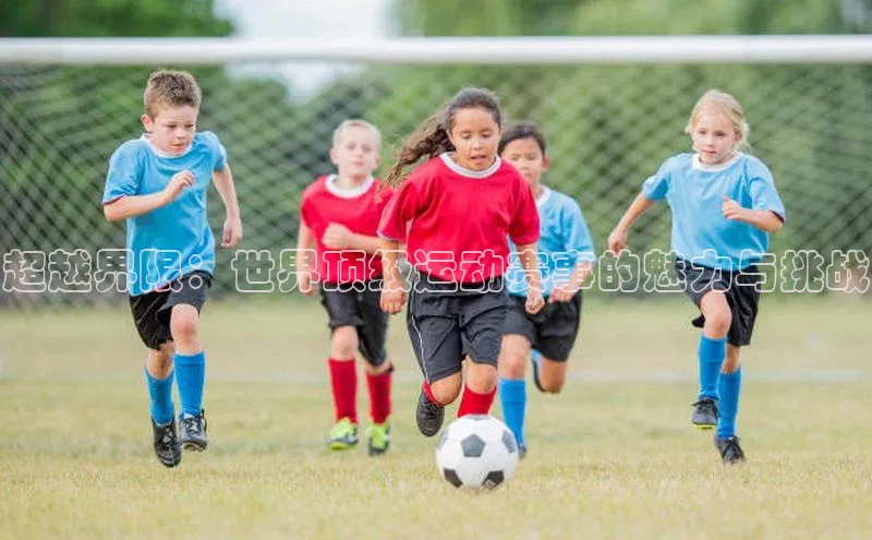 超越界限：世界顶级运动赛事的魅力与挑战