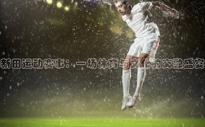 新田运动赛事：一场体育与文化的交融盛宴