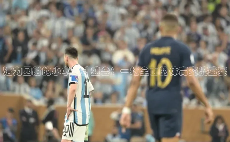 活力四射的小学运动盛会：一场全面的体育交流盛宴