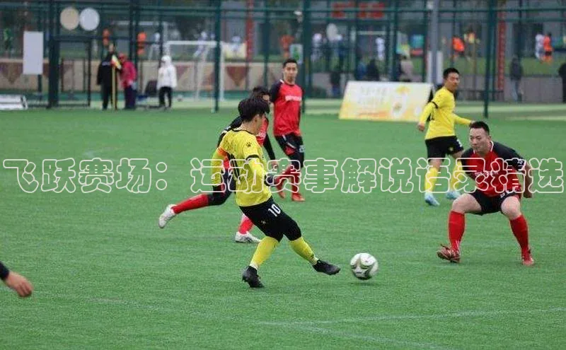 飞跃赛场：运动赛事解说语录精选